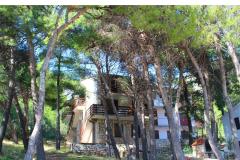 Apartmaji Floris Ivan Dolac Apartma 3 – 9 guests foto 4