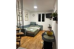 Apartmaa LoTe Apartma 1 – LOTE-gore foto 1