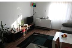Apartma Javorska Apartma 1 – Apartman 1 foto 5