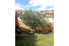 Apartmaji Vito Apartma 1 – Bartul foto 2