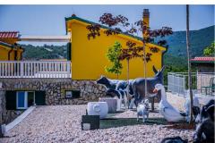 Luxury villa Cvita Apartma 1: (18+4) – VillaCvita foto 3