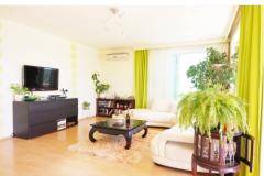 Split View Apartma 2: (5+3) – Green Appt foto 2