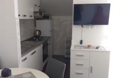 Apartmaji Tea Apartma 1 – Apartman1 foto 1