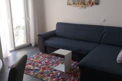 Apartmaji Tea Apartma 1 – Apartman1 foto 5