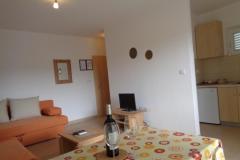 Apartmaji Barbara Apartma 1 – A-1 Studio foto 5
