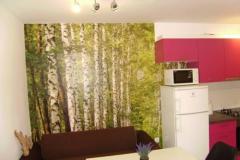 Apartaments Samanic Apartma 2: (4+0) – Apartman 4 foto 2