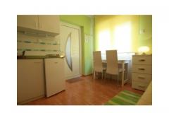 Apartmaji Lorena Apartma 4 – studio3 foto 3