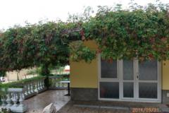 Apartmaji Milica Apartma 1 – APARTMAN foto 4