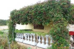 Apartmaji Milica Apartma 1 – APARTMAN foto 5