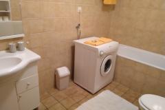 Apartmaji Topol Apartma 3 – bez-barier foto 5
