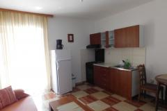 Apartmaji Vesna Apartma 1 – APP1 foto 3