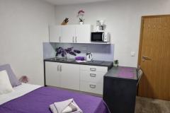 Apartmaji Žganec Apartma 9: (2+0) – studio 9 foto 3