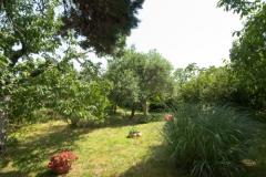 Sea Dream Apartma 1 – Sea Dream foto 3