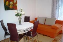 Apartmaji Zana Apartma 3 – A3+1 foto 4