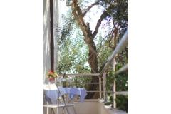 Apartmaji Zoran Apartma 1 – AP1 foto 5