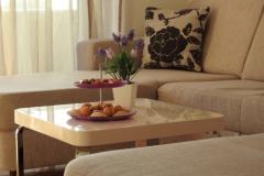 Apartma Igor Apartma 1 – Igor foto 3