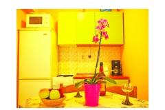 Apartmaji Diana Apartma 4 – ap. 4 foto 1