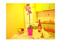 Apartmaji Diana Apartma 4 – ap. 4 foto 2
