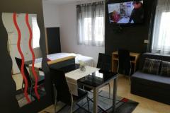Familia City Center Apartmaji Apartma 3 – studio foto 1