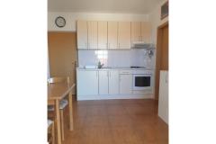 Apartmaji Tamburović Apartma 1 – App6 (4) foto 5