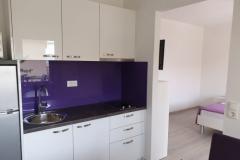 Apartmaji Tamburović Apartma 4 – App3(2+1) foto 5