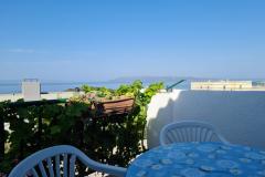 Apartmaji Vinea Apartma 1 – Vinea A1 foto 2