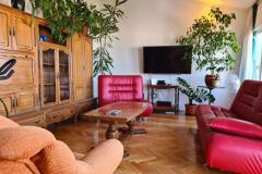 Apartmaji Vinea Apartma 1 – Vinea A1 foto 3