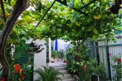 Apartmaji Vinea Apartma 2 – Vinea A2 foto 2