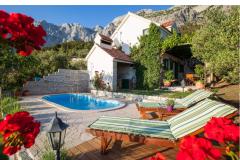 Rustic Oliveto Apartma 1 – Rustic foto 1