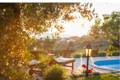Rustic Oliveto Apartma 1 – Rustic foto 2