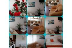 Villa Apartmaji Sumić Apartma 1: (2+3) – GREEN OASE foto 4