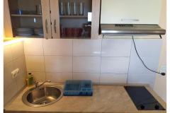 Villa GABI Apartma 1 – A10 foto 4