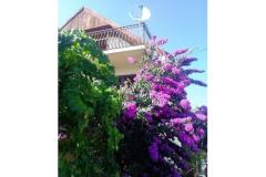 Hiša Marino Apartma 1 – marino foto 2