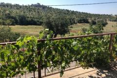 Dolac Vulića Apartma 1 – Apartman foto 1