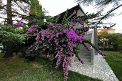 Flowers Apartma Medulin, Fucane 2 Apartma 1 – Bugenvilia foto 2
