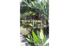 Apartmaji Vera Apartma 2 – apartman foto 4