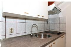 Apartmaji Alma Apartma 1 – A2 foto 4