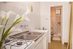 Apartmaji Lapov Apartma 4 – Apartman 4 foto 3