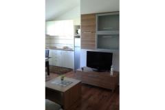 Apartmaji Anita Apartma 1 – A1 foto 4