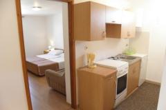 Apartmaji Remi Apartma 3 – A3 foto 2