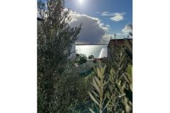 Apartmaji Renata Apartma 1 – Apartman-1 foto 3