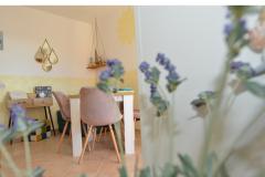 Apartma Bonzo Novalja Apartma 1 – BONZO foto 4