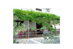Apartma Lucija Apartma 1 – Prizem foto 4