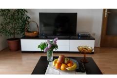 Holiday home Universum Apartma 2 – Apartment2 foto 4