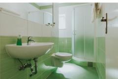 Apartmaji Daniela Apartma 1 – MASLINA foto 3