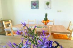 Apartmaji Dragana Apartma 3 – Velvet foto 4
