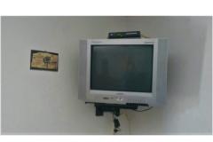 Apartmaji Dragica, Duće Apartma 3 – Studio foto 4