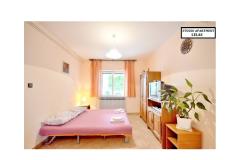 Apartmaji Lelas Apartma 2 – studio apa foto 3