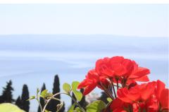 Apartmaji Rubić Apartma 3 – Apartman 4 foto 3