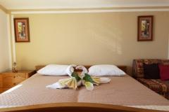 Apartmaji ABA Apartma 1 – ABA1 2+1 foto 5